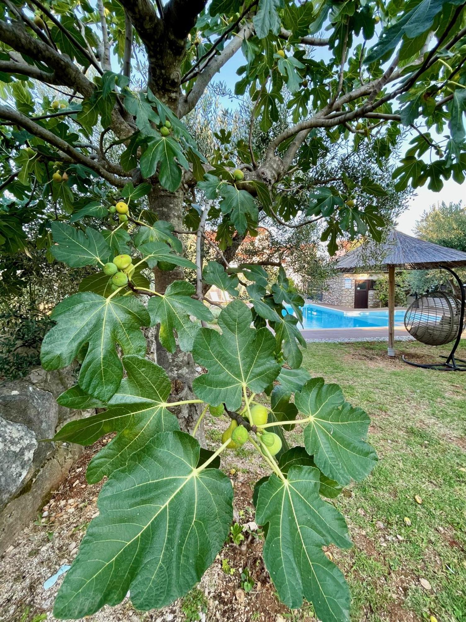 Villa Urbana Natura Krk Town Bagian luar foto